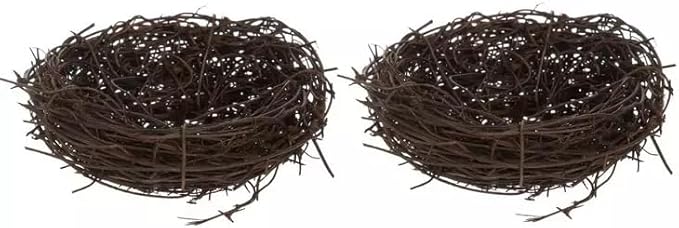 Spring Twig Mini Bird Nests - 2 Count (4 Inch)