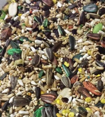 30 LB ABBA 1600C Cockatiel Bird Seed
