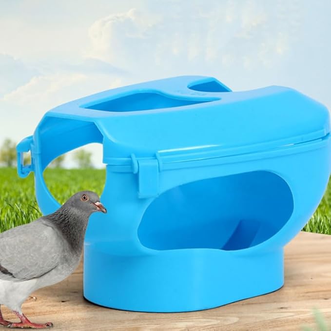 BESTonZON 2pcs Pigeon Injection Holder Feeding Stand for Easy Medicine Application Fixed Mount for Pigeons for Pet Bird Care