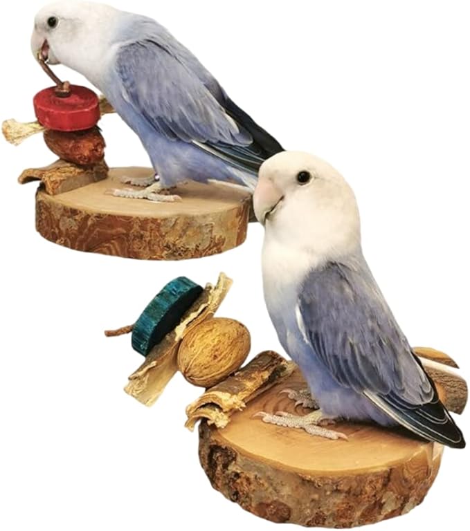2PCS Natural Wood Perch Stand with Chewing Toy for Small Medium Pet Bird Parrot Budgie Parakeet Cockatiel Conure Lovebird Finch Canary Hamster Gerbil Rat Chinchilla Squirrel Cage Platform (Small)