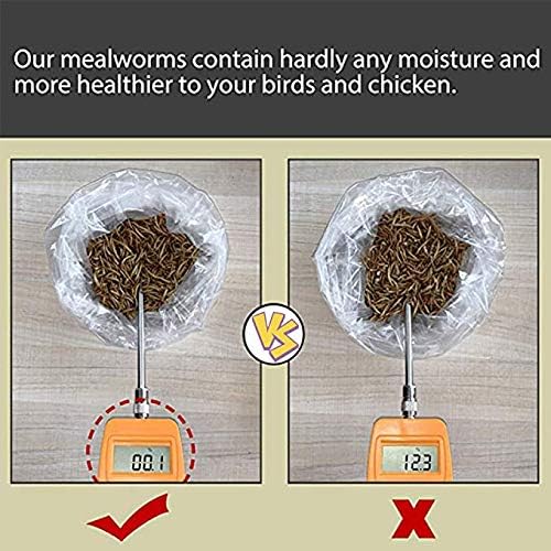 HANDPOINT 20 lbs Dried Mealworms, 100% Non-GMO Natural High-Protein,Treats for Chicken, Fish, Bird Food(20LB)