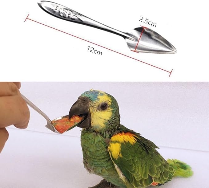 6 Pcs Stainless Steel Bird Feeding Spoon - Narrow Tip for Baby Birds Young Pet Birds, Parrot Milk Spoon Fit Finch Canary Cockatiel Hand Feeding,Spoons for Feeding Nestlings/Hatchlings