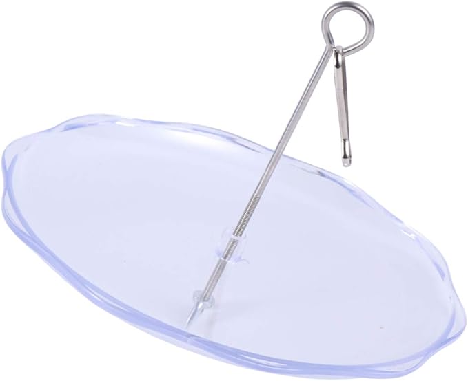 Balacoo Pet Parrot Feeder Stainless Steel Fork Plastic Fruit Plate Bird Feeding Dish 20cm Rod Easy Cleaning Parrot Cage Accessory
