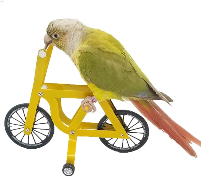 QBLEEV Bird Intelligence Training Toy for Small Medium Birds - Parrot Puzzle Bicycle & Table Top Trick Prop - Foot Talon Toy for African Grey, Cockatoo & Conures
