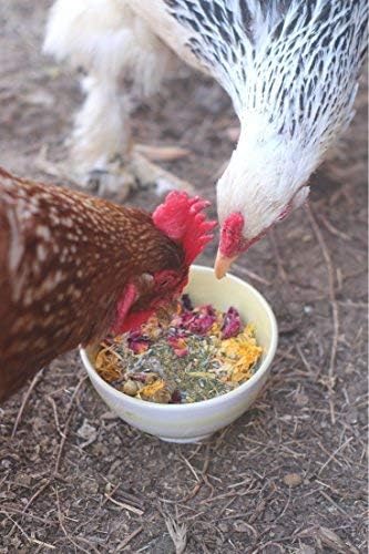 Pampered Chicken Mama Best Eggs Ever! Nesting Herbs for Chickens (10 Ounces) | Chicken Nesting Herbs