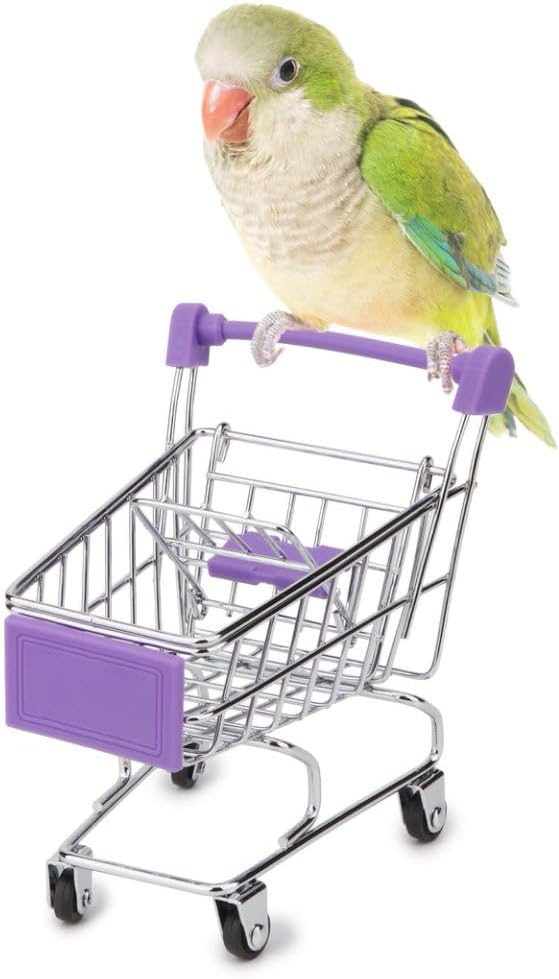 Hypeety Bird Toys Mini Shopping Handcart Trolley Parrot Intelligence Training and Playing Toy for Parakeets Budgies Cockatiel Conures Caique Quaker Lovebirds (Purple)