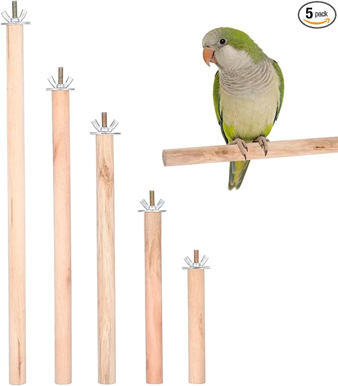 YARNOW 5pcs Natural Wood Bird Perches for Parrots Height Stand Toy for Parakeets Cockatiels and Lovebirds Easy to Install Exercise Platforms