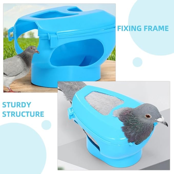 BESTonZON 2pcs Pigeon Injection Holder Feeding Stand for Easy Medicine Application Fixed Mount for Pigeons for Pet Bird Care