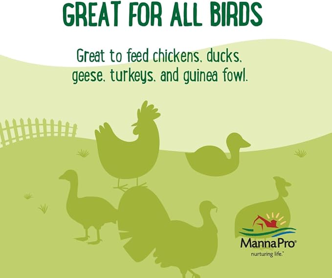 Manna Pro Farmhouse Favorites – Coop Cakes for Poultry – Mixed Flock Poultry Treat – Chicken Treat Cake – Made with Sunflower & Mealworms – 3 Cakes