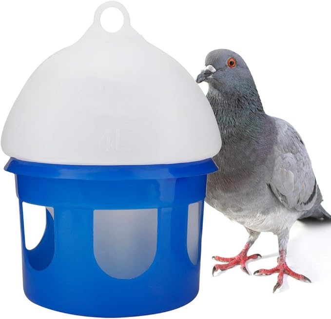 CDQL Pigeon Feeder, ABS Plastic 4L Automatic Bird Pigeon Feeder Water Dispenser