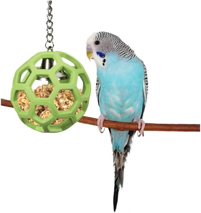 JW Pet Company Activitoys HOL-ee Roller Parrot Toy, 4 Inch Diameter (Colors Vary) (Pack of 2)