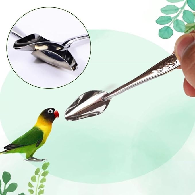 6 Pcs Stainless Steel Bird Feeding Spoon - Narrow Tip for Baby Birds Young Pet Birds, Parrot Milk Spoon Fit Finch Canary Cockatiel Hand Feeding,Spoons for Feeding Nestlings/Hatchlings