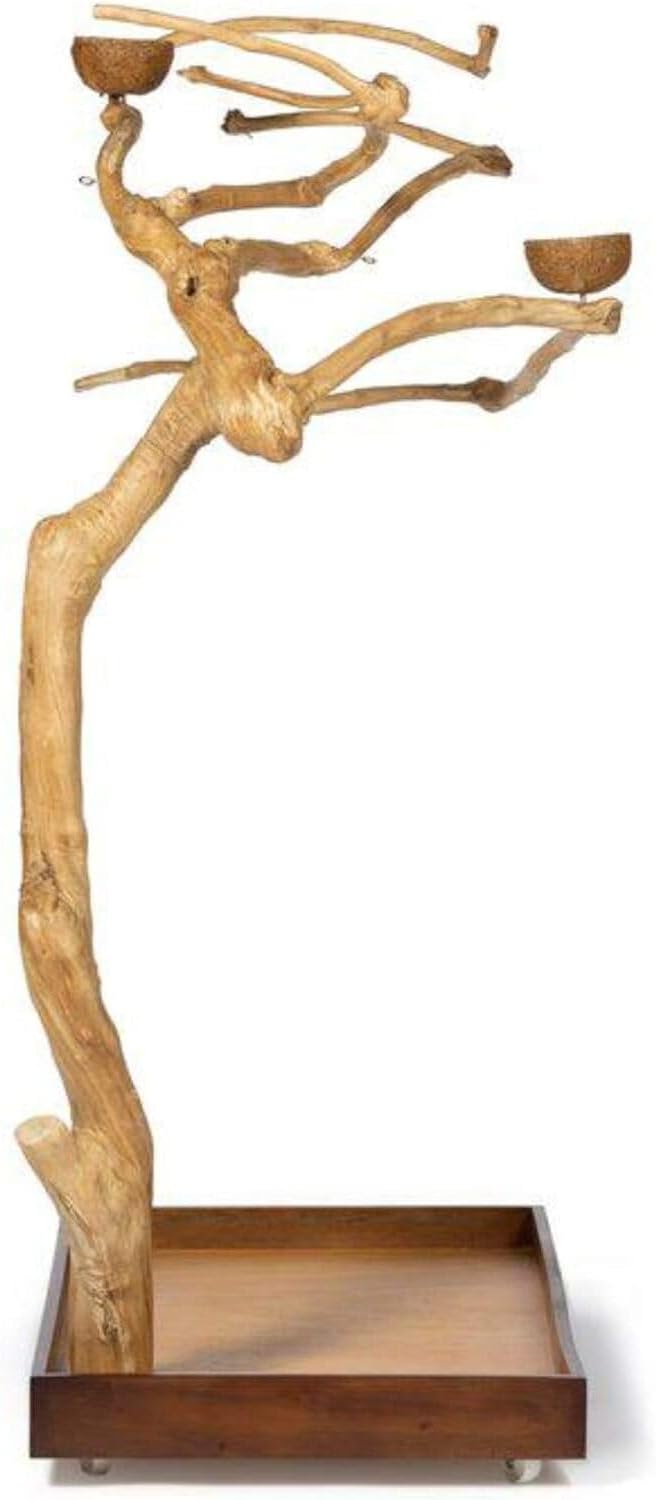 Prevue Pet Products Coffeawood Tree Style # 2 (Small)