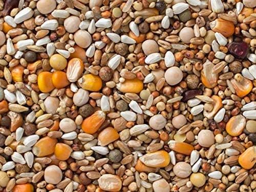 Premium 22 Pigeon Mix (13.25%) 8 lbs