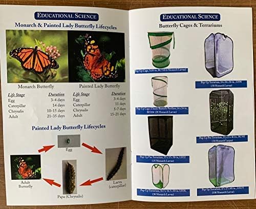 Professional Pop-Up Butterfly Cage/Terrarium, 27 x 27 x 48-inch, Green, LH175G