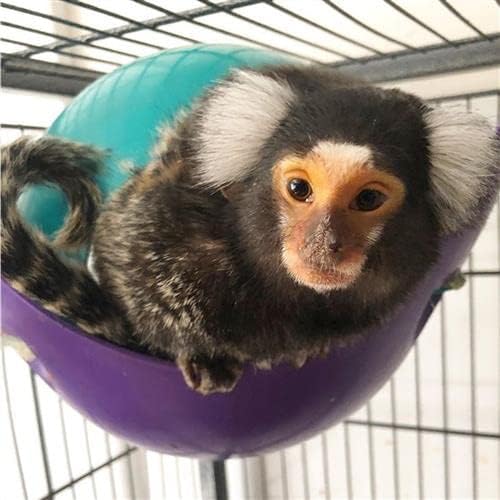 Exotic Nutrition Nap Nook - Unique Nest Pod Cage Accessory Toy - Use Grounded or Hanging - Sugar Gliders, Hamsters, Mice, Rats, Birds, Degus, Chinchillas, & Other Small Pets (Small)