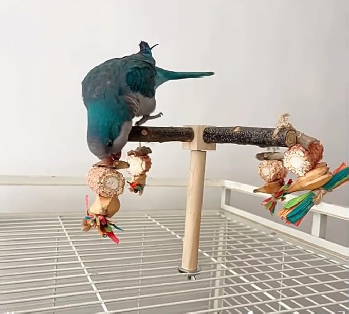Bird Chew Toys Parrot Rotating Toys, Interactive Bird Cage Toys for Small Medium Birds, Durable Chewing Gnawing Beak Trimming Toys for Parakeet Cockatiel Conure Budgie Lovebird
