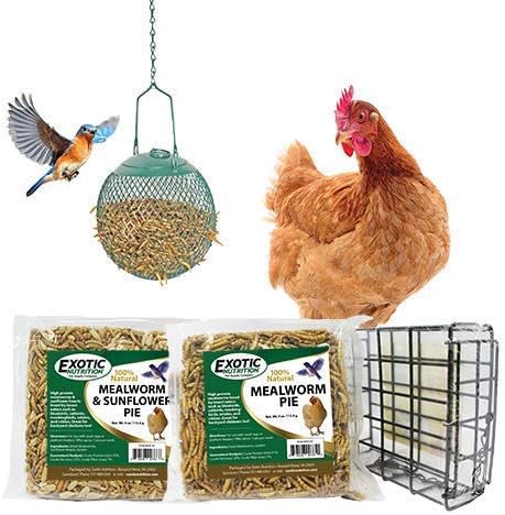 Exotic Nutrition Mealworm Pie - Healthy Natural Suet Basket Feeder Treat - for Backyard Chickens and Wild Birds