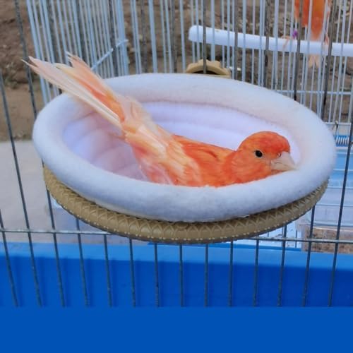 FOIBURELY Bird Nest Canary Finch Parrot Nest Set with Plastic and Textile（4.5 inches）