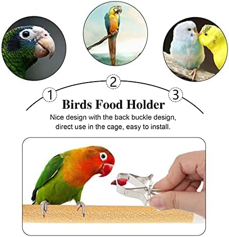 Birds Food Holders - 3pcs Parrot Fruit Vegtable Clips Stainless Steel Feeder Bird Cage Accessories for Budgie Parakeet Cockatiel Conure