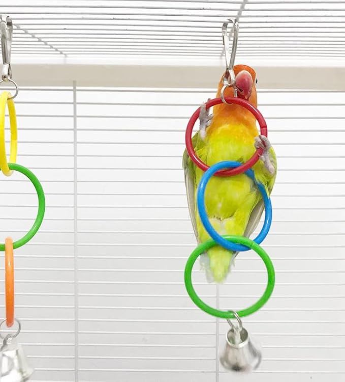 2 Pack Hanging Swing Parrot Toys,Bird Parrot Swing Toys,Bird Toys for Conures,Budgerigar, Parakeet, Cockatiel, Mynah, Love Birds, Finches and Other Small to Medium Birds