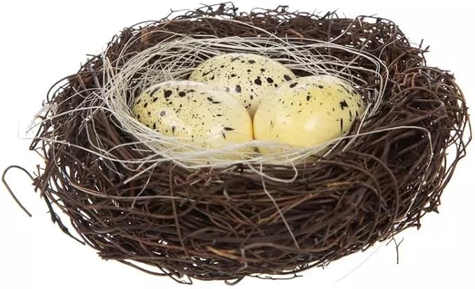 Brown Natural Bird's Nest with White Eggs