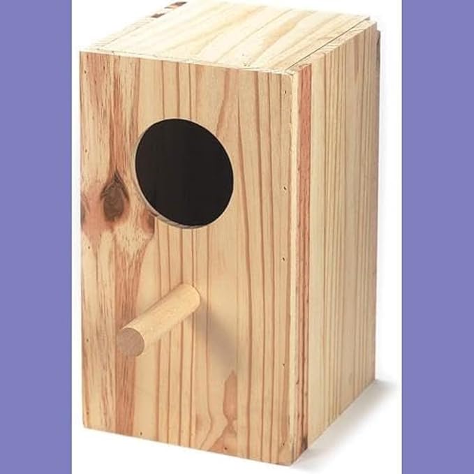 Arquivet 8435117856172 – Parrot Nest