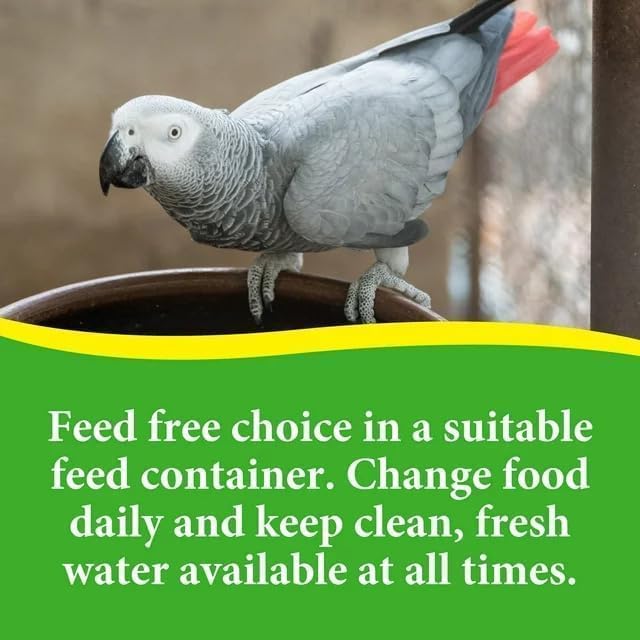 Pet Products Premium Parrot Bird Food Seeds with Probiotics, Natural Dry Bird Food Mix for Parrots, Macaws, Cockatoos, African Greys, and Conures, 8 lb Bag