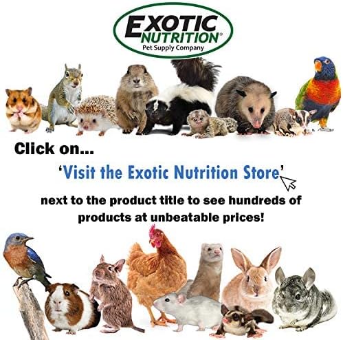 Exotic Nutrition 40 LB Bulk Dried Black Soldier Fly Larvae - High-Calcium Insect Treat - Chickens, Wild Birds, Bluebirds
