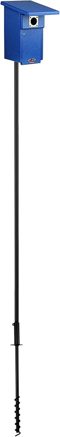 Kettle Moraine Eastern Bluebird Recycled Nest Box (Nest Box + Pole Package, Blue/Blue)