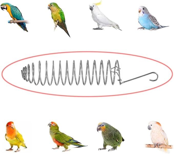 2 Pack Millet Spray Holder Parrot Spray Millet Treat Holder Parakeet Treat Sticks Feeder for Natural Bird Millet Treats Crunch Sticks Bars Bird Chew Toys Carrot Cuttlebone Calcium Block