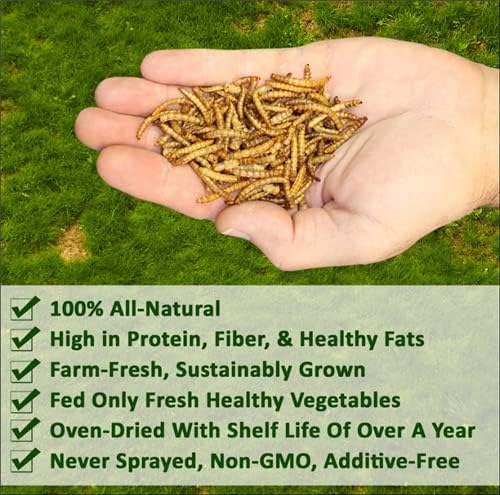 Dried Mealworms - 100% Natural, Non-GMO, High Protein, Bulk Insect Treat for Chicken, Laying Hen, Chick, Wild Bird, Bluebird, Duck, Goose, Turkey, Chickadee, Titmice, Wren, Reptile, Fish (11 lb.)