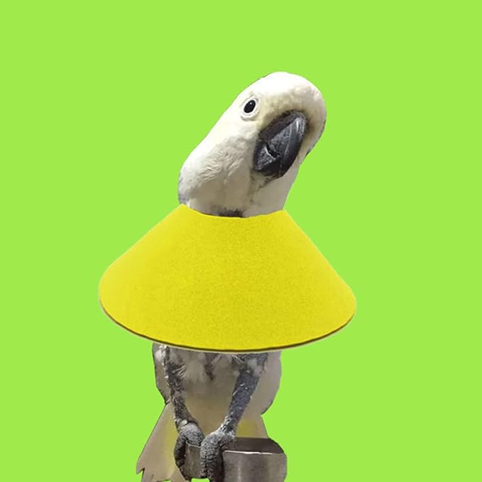 Parrot Collar for Plucking Anti-Bite Collar Bird Wound-Healing Recovery Collar for Lovebirds Budgies Cockatiel