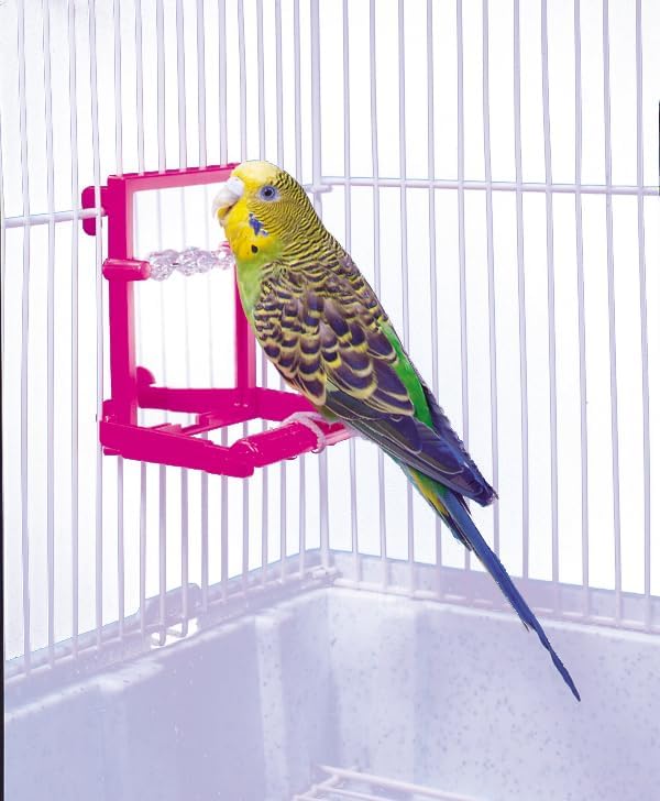 Penn-Plax Bird Life - Landing Perch with Mirror and Beads - Perfect for Parakeets, Finches, and Other Small Birds (BA504) (Pack of 2)