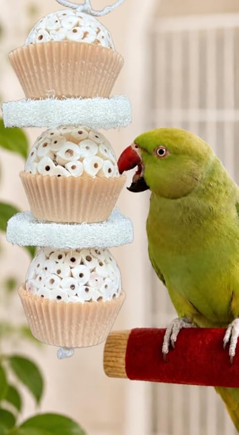Shred & Destroy Natural Bird Toy - Double Texture Soft & Crunchy - Sola Ball and Loofah Plant - Medium Birds - Cockatiels, Conures - 2 Pack