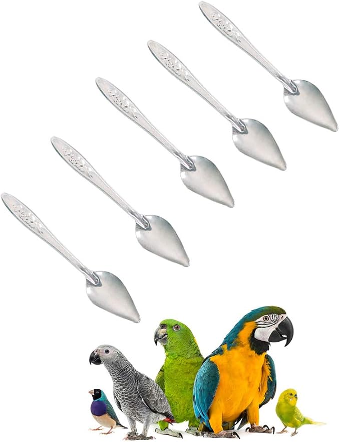 Bandelt 5 Pcs Stainless Steel Bird Parrot Feeder Spoon for Baby Birds, 4.7"