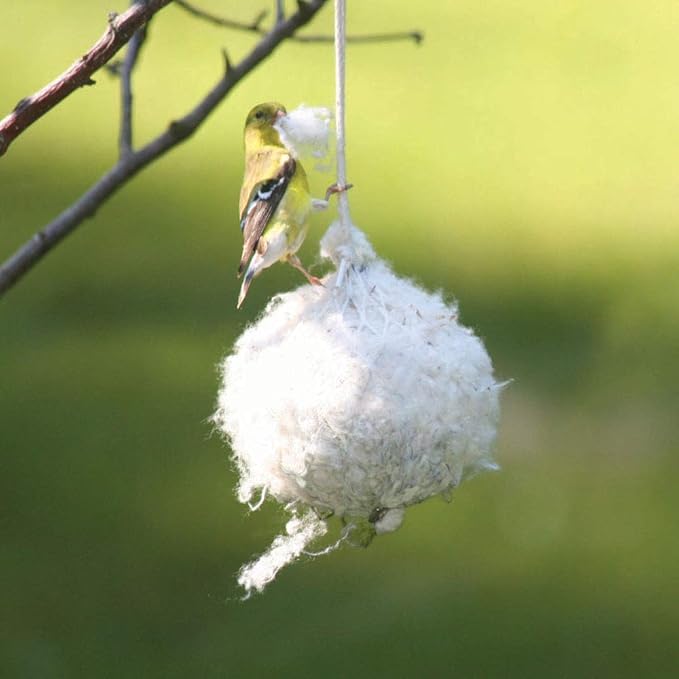 Birds Choice CNB Cottontail Nest-Building Material, Nesting Ball, 2 Ounces, White