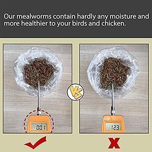Non-GMO Dried Mealworms 20LB, 100% Natural Large Size No Moisture,Treats for Birds Chickens Hedgehog Hamster Fish Reptile Turtles (20LB)