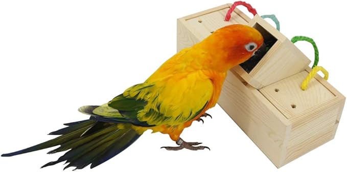 YINGGE Wooden Bird Foraging Feeder Toys, Intelligence Toys for Medium and Large Parrots Sun Conures, Caique, Cockatoo, African Grey, Macaws, Amazon