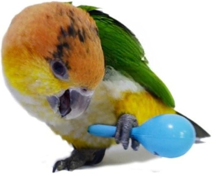 3PCS- Colourful Mini Ball Sand Hammer Parrot Rattle Shaker Musical Sound Toy Intelligent Sand Hammer Toys for Parakeets Canaries Cockatiels Conure Lovebirds(Random Color)