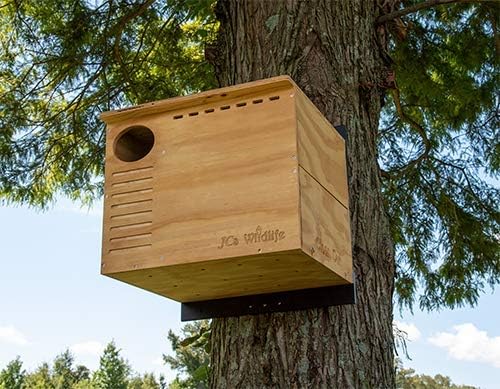 JCS Wildlife Barn Owl Nesting Box Large Owl House Crafted in USA - Exterior Grade Treated Plywood - Mounting Hardware and Pine Shavings Included - Dedicated Clean Out Door for Easy Cleaning