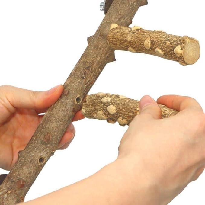 Bird Ladder Perch Cage Nature Wood Stand Parrot Chew Toy for Small Medium Parrot Animal (M) (Bird Ladder)