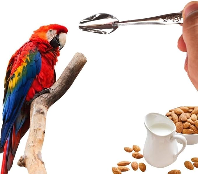 6 Pcs Stainless Steel Bird Feeding Spoon - Narrow Tip for Baby Birds Young Pet Birds, Parrot Milk Spoon Fit Finch Canary Cockatiel Hand Feeding,Spoons for Feeding Nestlings/Hatchlings
