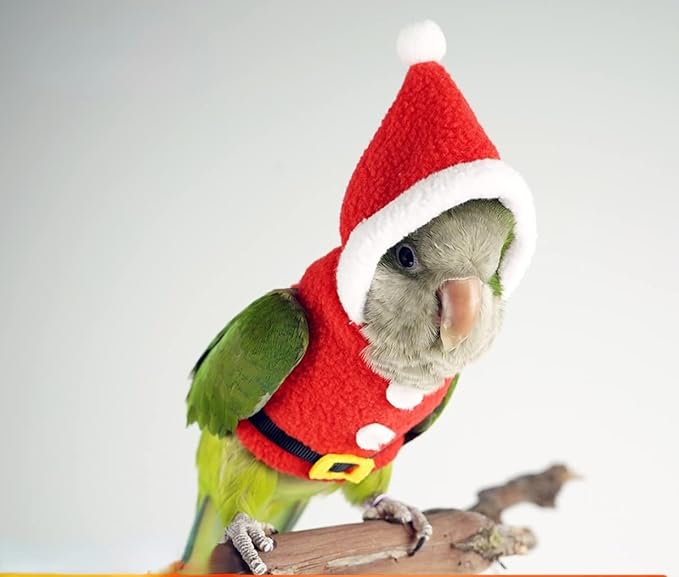 Bird Clothes Birds Flight Suit, Christmas Hoodie for Parrots Cockatiel Sun Conure Christmas Party Cosplay Photo Prop Bird Shirt Small Animals Apparel (Without Diaper,Eclectus)