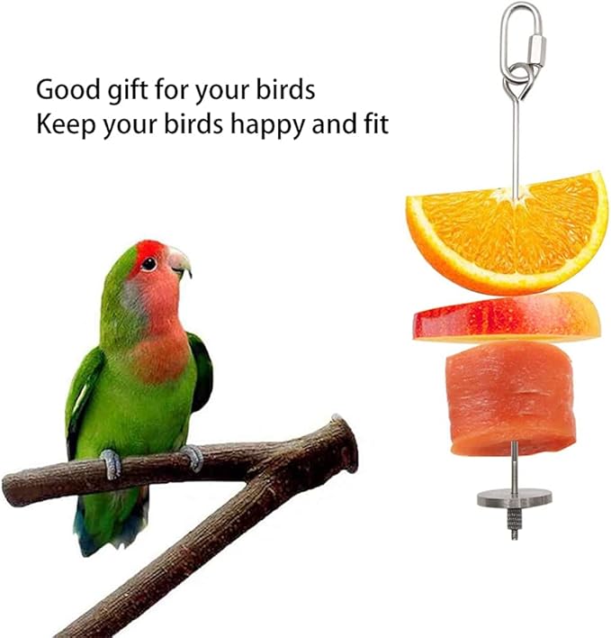 Bird Food Holder, Stainless Steel Parrot Fruit Vegetable Stick Holder, Foraging Toy, Bird Treat Skewer for Parrots, Macaws, Parakeets, Cockatiels, Budgies (3 pc)