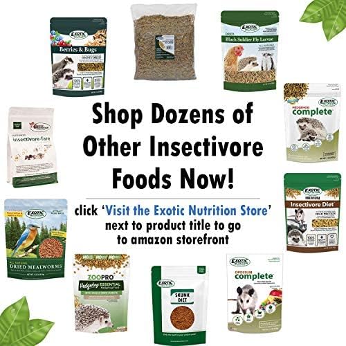 Exotic Nutrition 40 LB Bulk Dried Black Soldier Fly Larvae - High-Calcium Insect Treat - Chickens, Wild Birds, Bluebirds