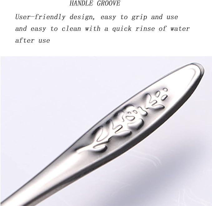 6 Stainless Steel Pet Feeding Spoons, Parrot Feeding Tool, Chick Bird Feeder.