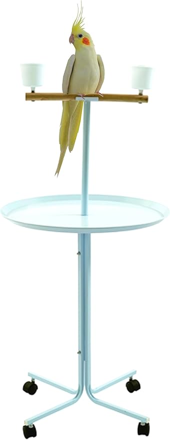 Large 23" Play T-Stand Perch Metal Base Parrot Bird Cage Amazon African Grey Macaw Cockatoo with Lockable Rolling Castors