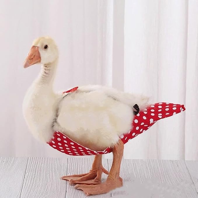 2 Pack Chicken Diapers for Hens, Roosters, Diapers for Ducks, Ducklings, Reusable Pet Diaper with Bow Ties Waterproof Poultry Nappies for Geese Pet Ducks-Red&Black Polka,L