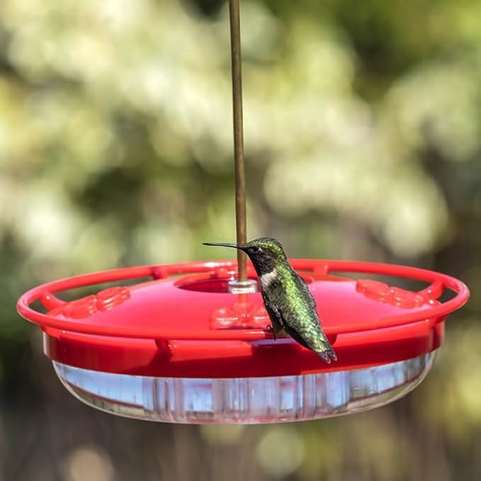 2 Pack Hummingbird Feeders for Outdoors, 5 Feeder Ports and Brush, Prevent Ants and Leaks Easy to Clean & Fill Perfect for Hanging On The Tree Yard